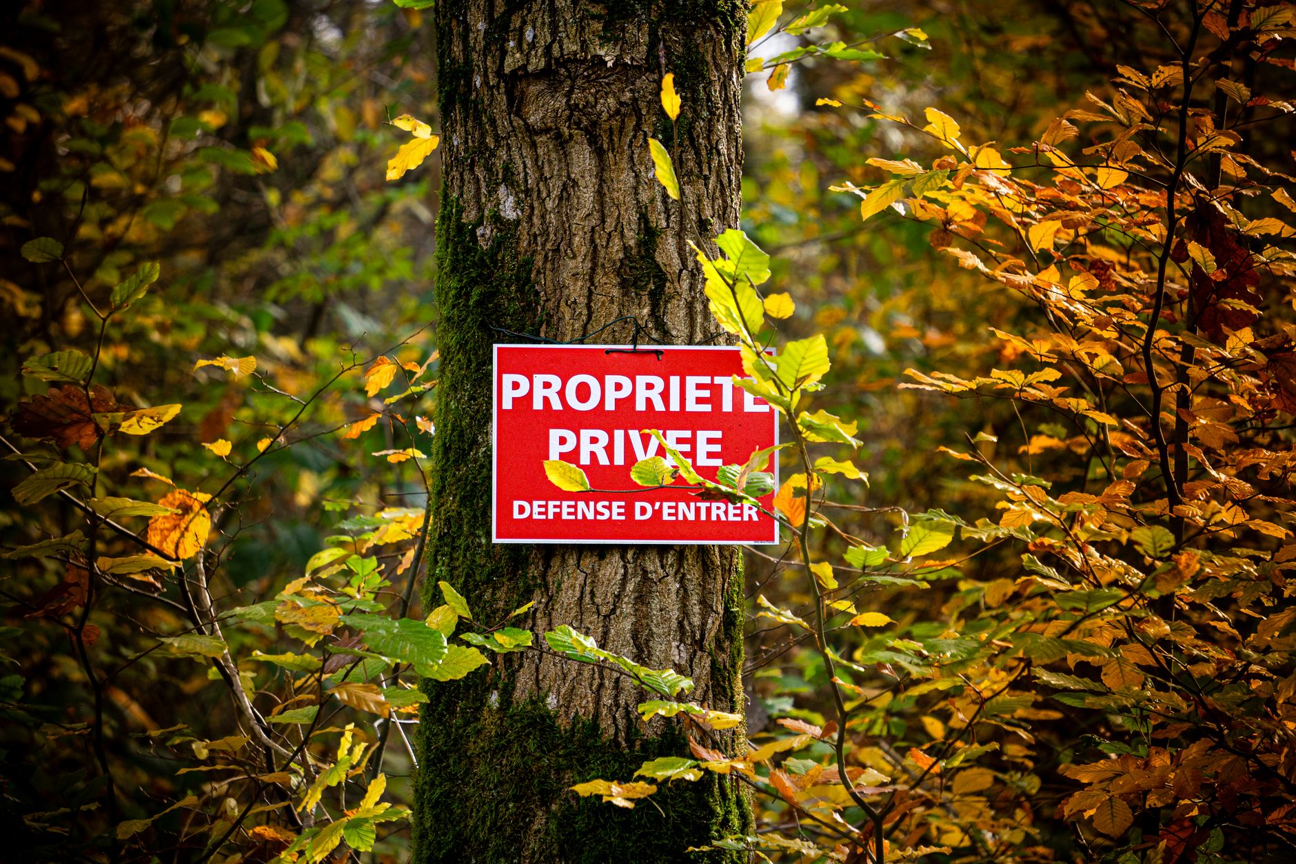 Détective Privé à Le Blanc-Mesnil